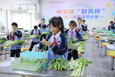 择理蔬菜赛