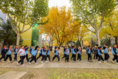 金枝绿影里，少年踏歌行