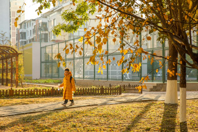 走在金光大道上