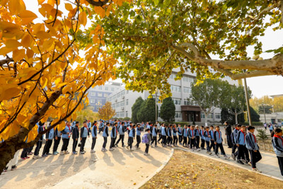 鎏金叠翠处，少年进步中